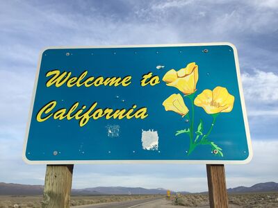 The Fight for a State That Works