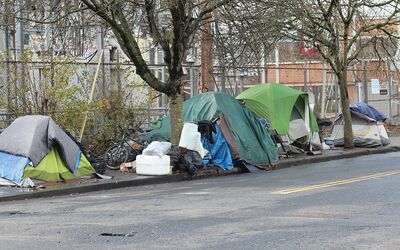 A Tropical Disease Hit a Berkeley Homeless Encampment. Courts Blocked Cleanup.