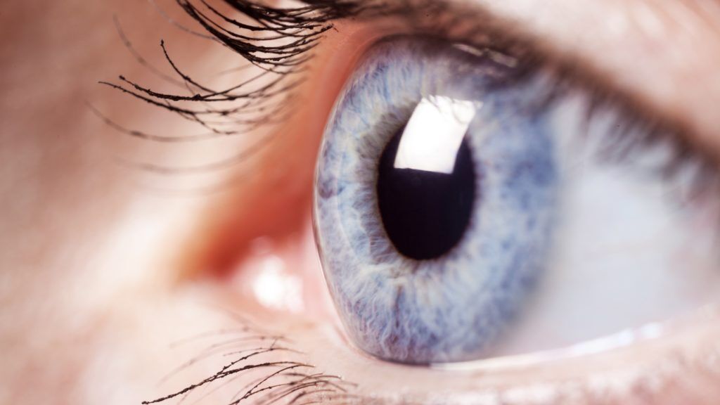 This is an extreme close-up macro photograph of a human eye, specifically featuring a blue/gray iris with remarkable detail. The image is a high-resolution photo with a shallow depth of field, creating a sharp focus on the iris and pupil while the surrounding skin and eyelashes blur softly. The iris displays intricate fibrous patterns radiating outward from the dark, circular pupil, showcasing the natural complexity of the eye's structure. A bright white specular highlight (catchlight) from a...