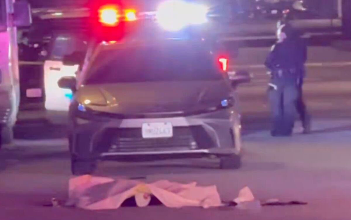 Two Felonies, One Essay, One Murder